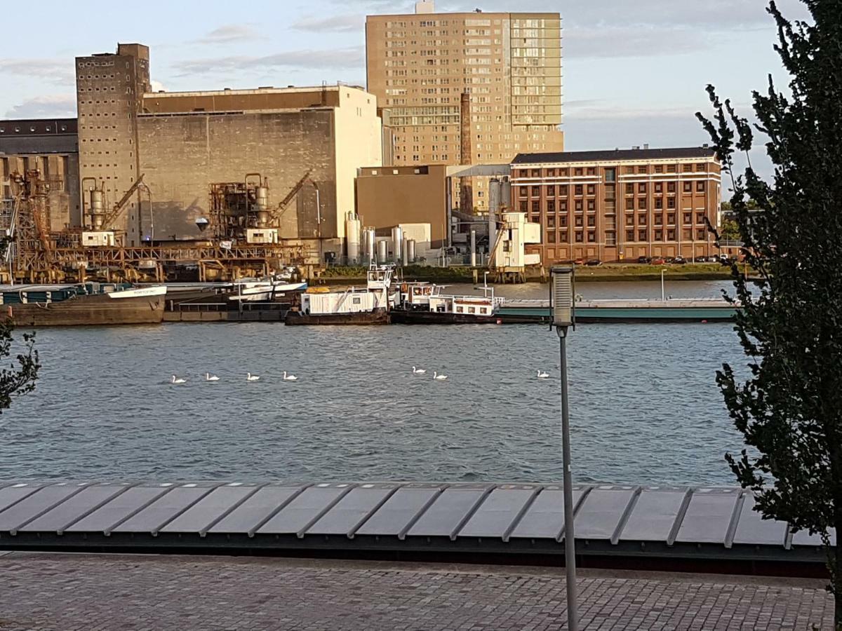 Sewdien'S Apartment Maashaven Rotterdam Kültér fotó